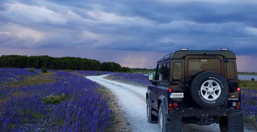 4x4 car on road with lavender fields