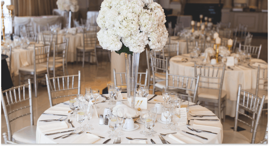 3105e7ea 8416 4145 9ccb 83bb3ae406d2 Group+402374