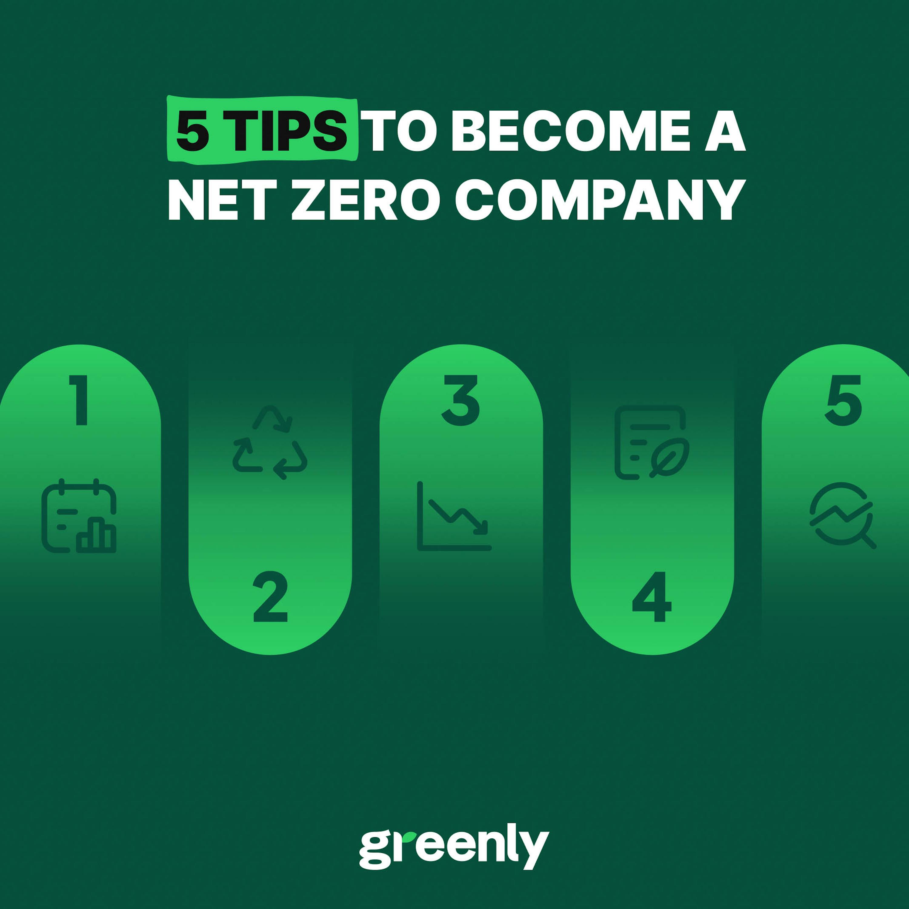 Net zero company Infographic