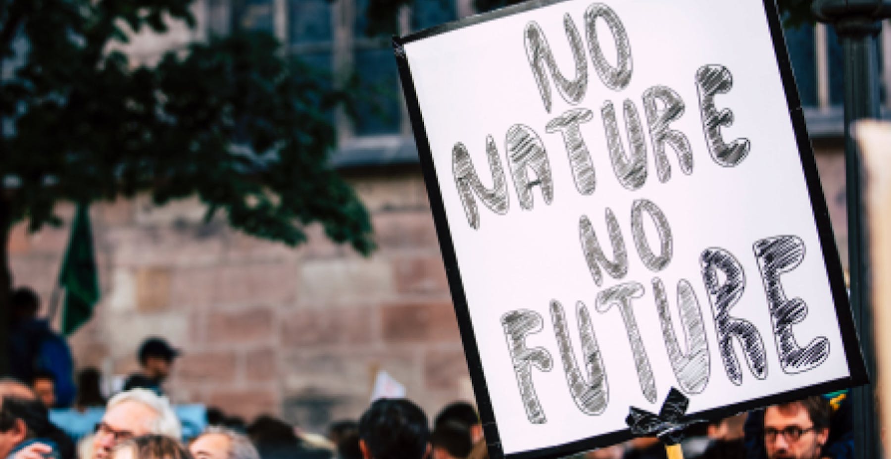 une pancarte de manifestation portant l'inscription "No nature no future"
