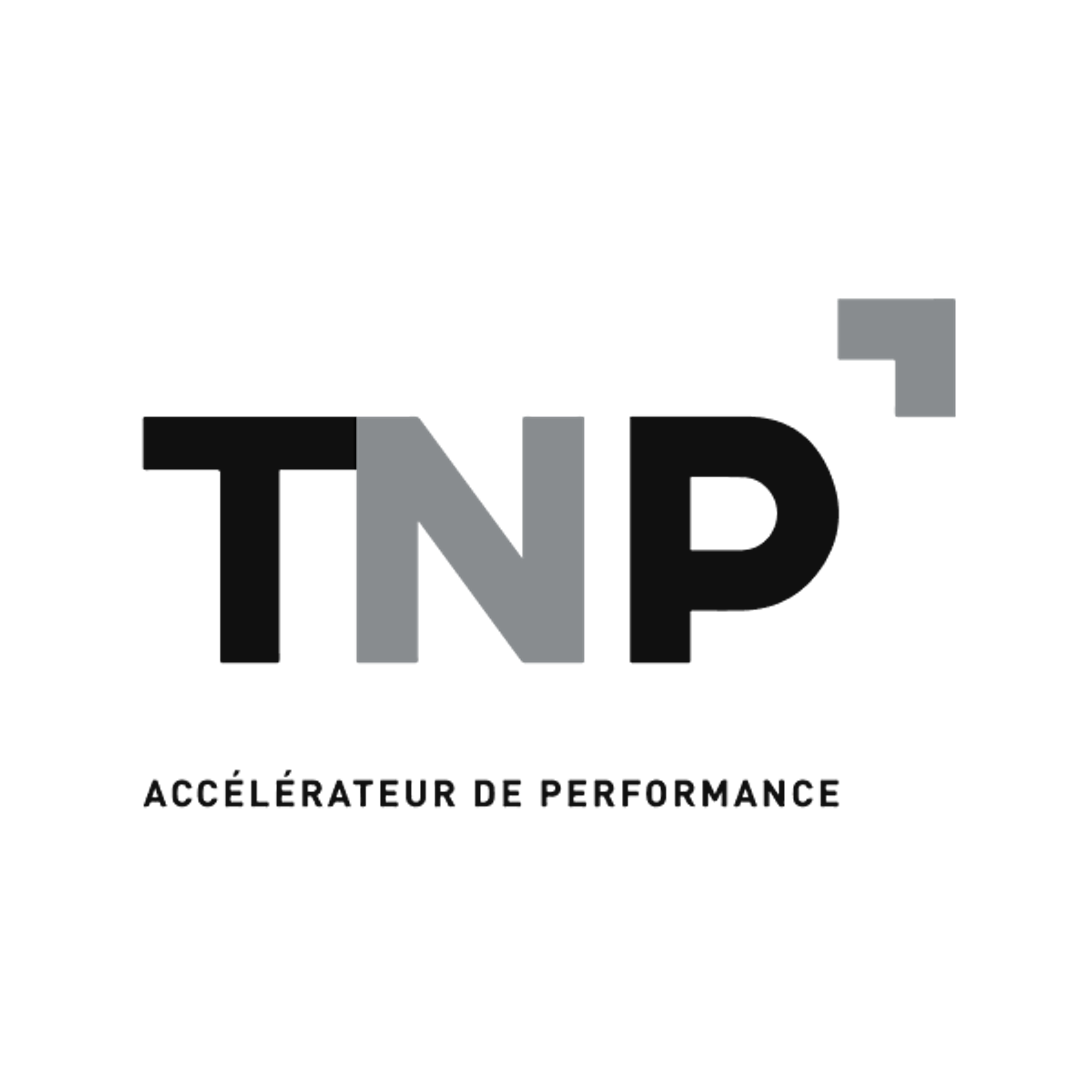 TNP Consultants logo