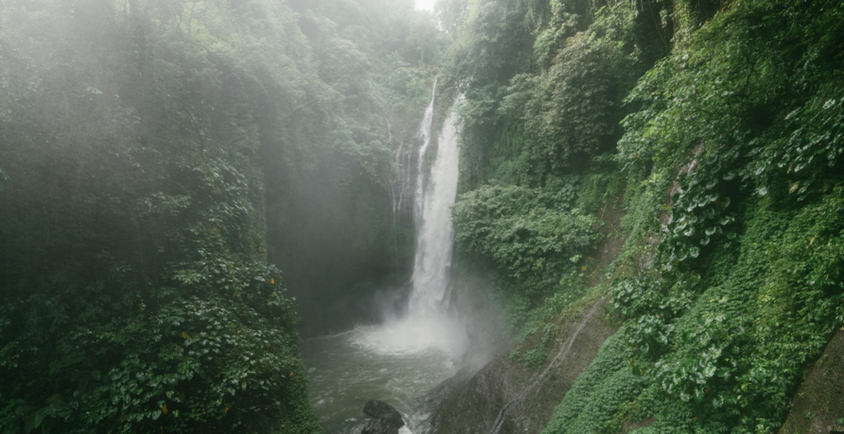 waterfall in green forest