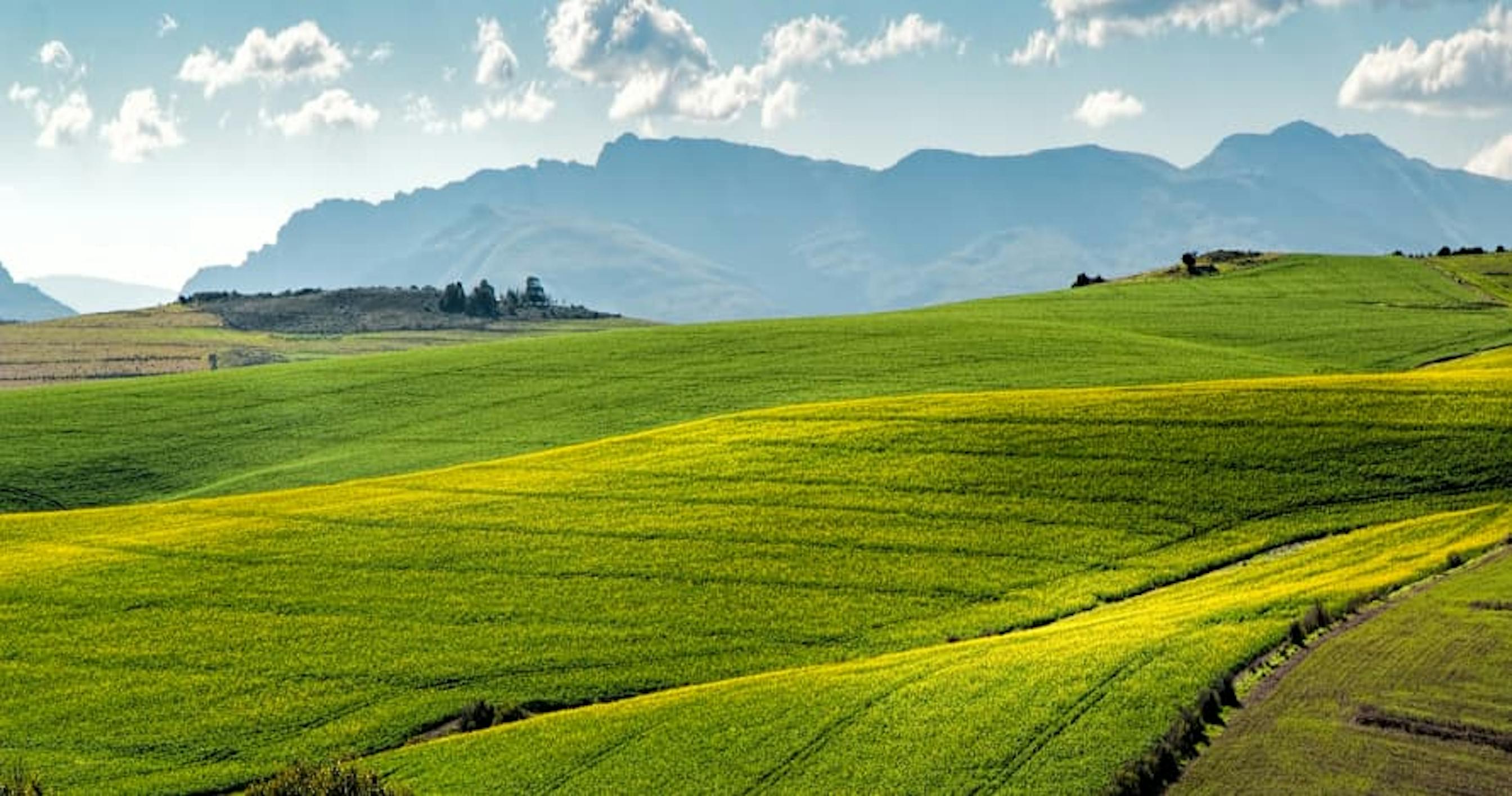 great mountainscape bright green