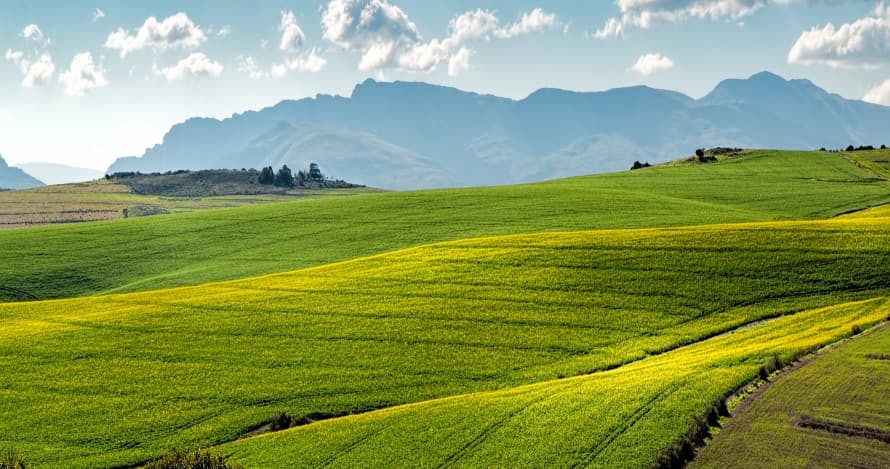 great mountainscape bright green