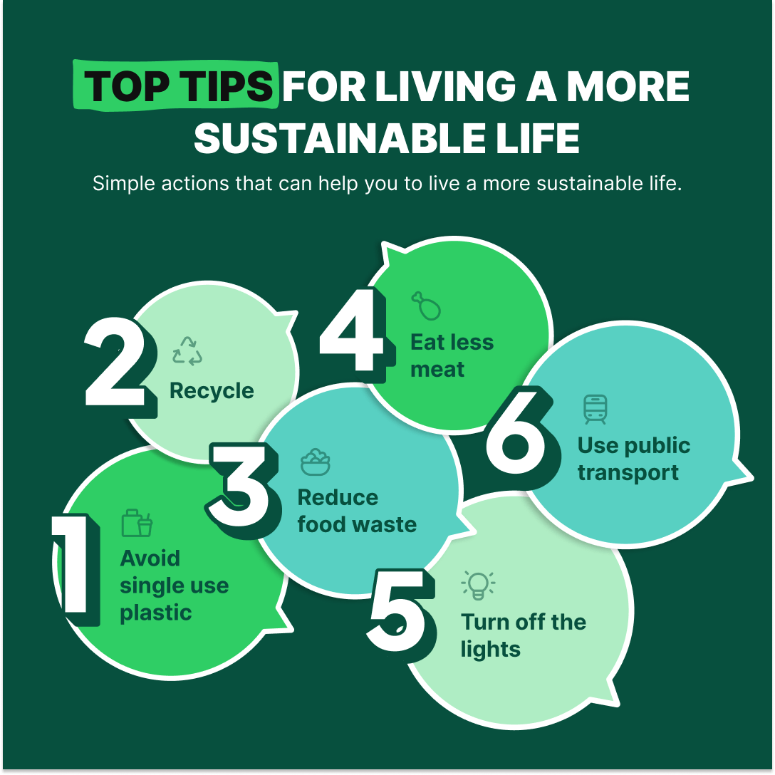 Cover sustainable living infographic