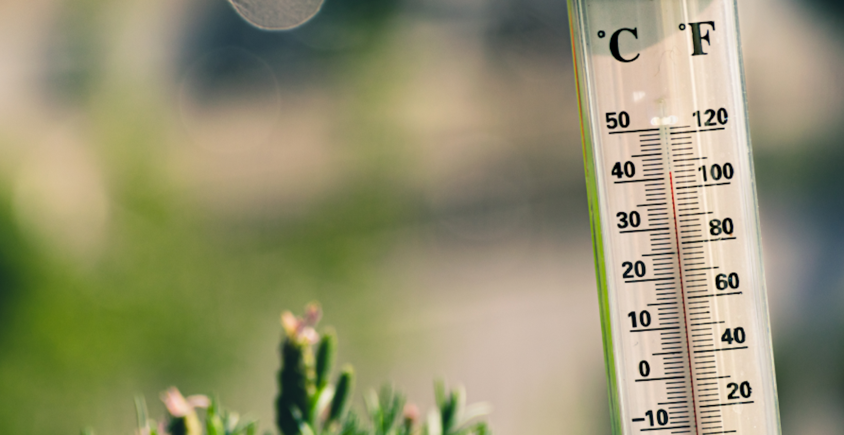 thermometer