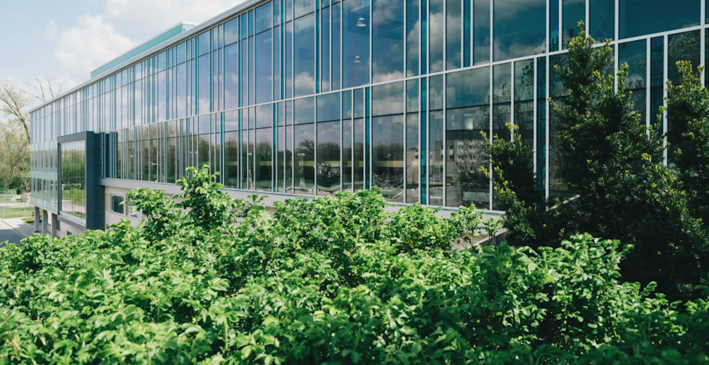 Façade de bureaux avec nature 