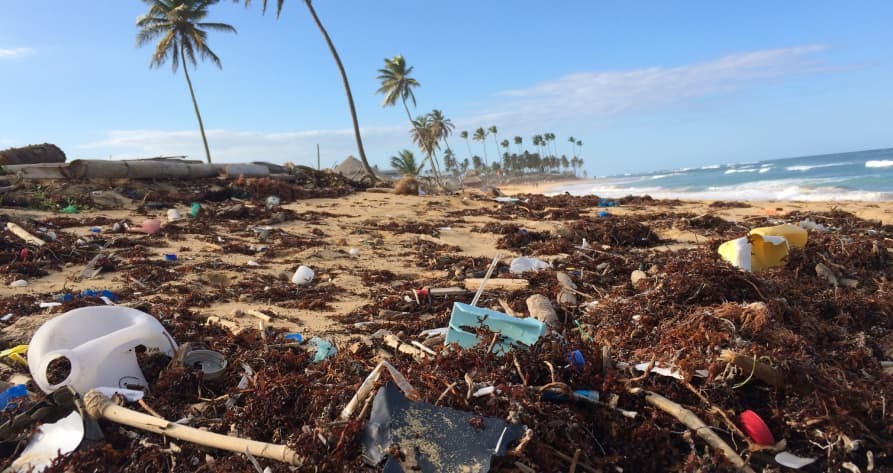 polluted beach