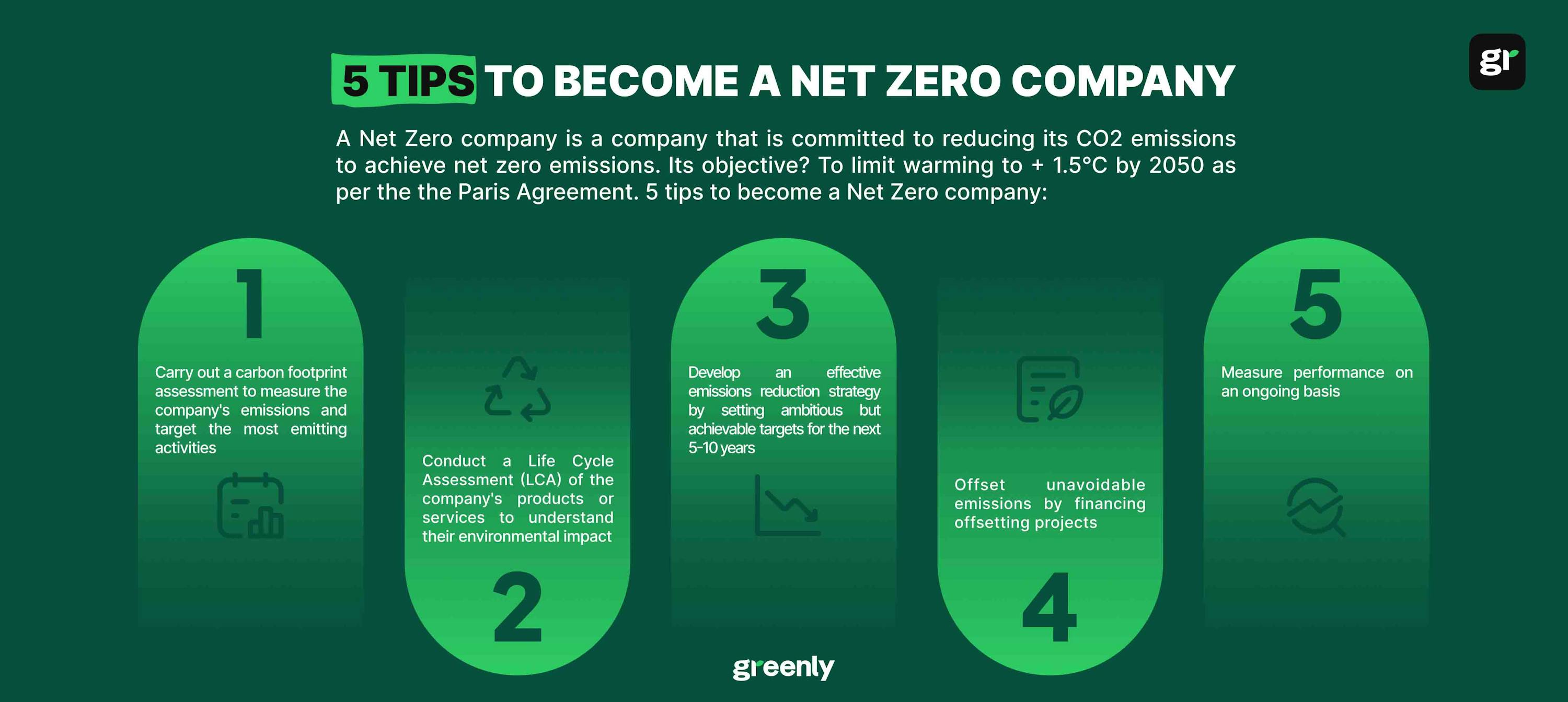 Infographic net zero company