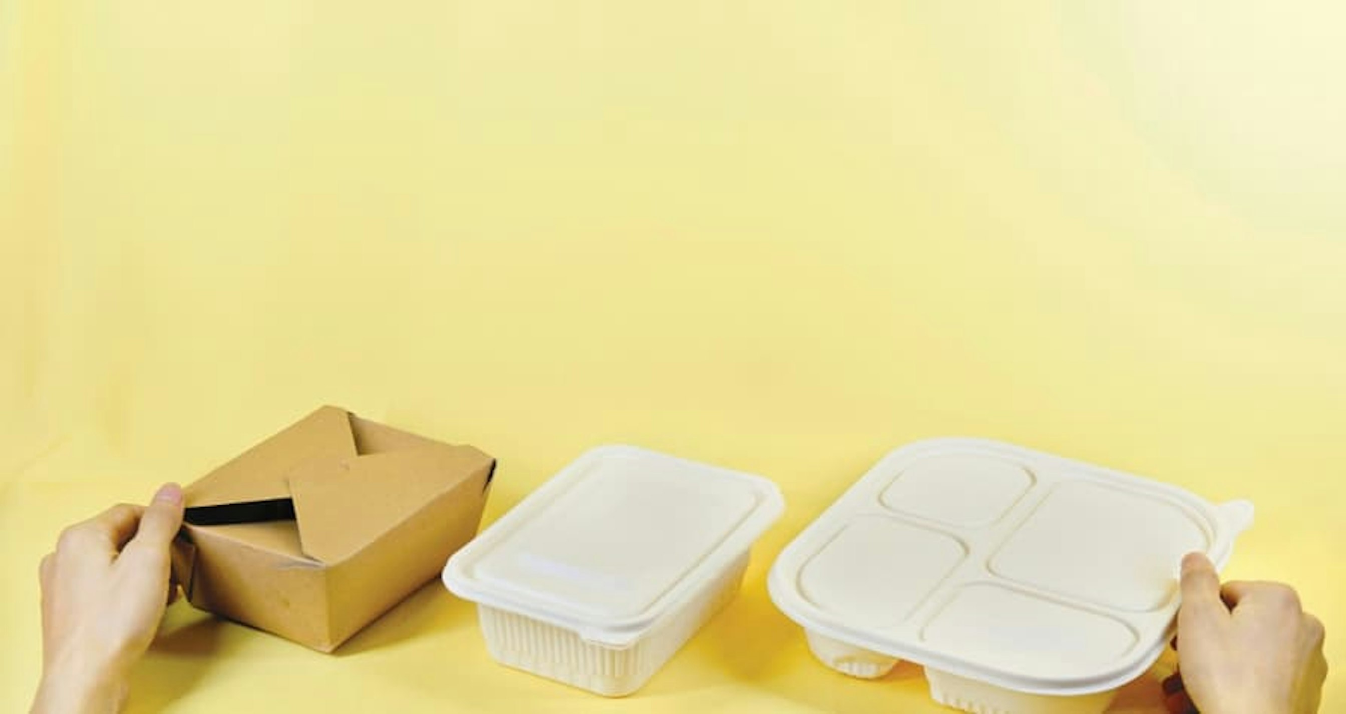 paper to go containers