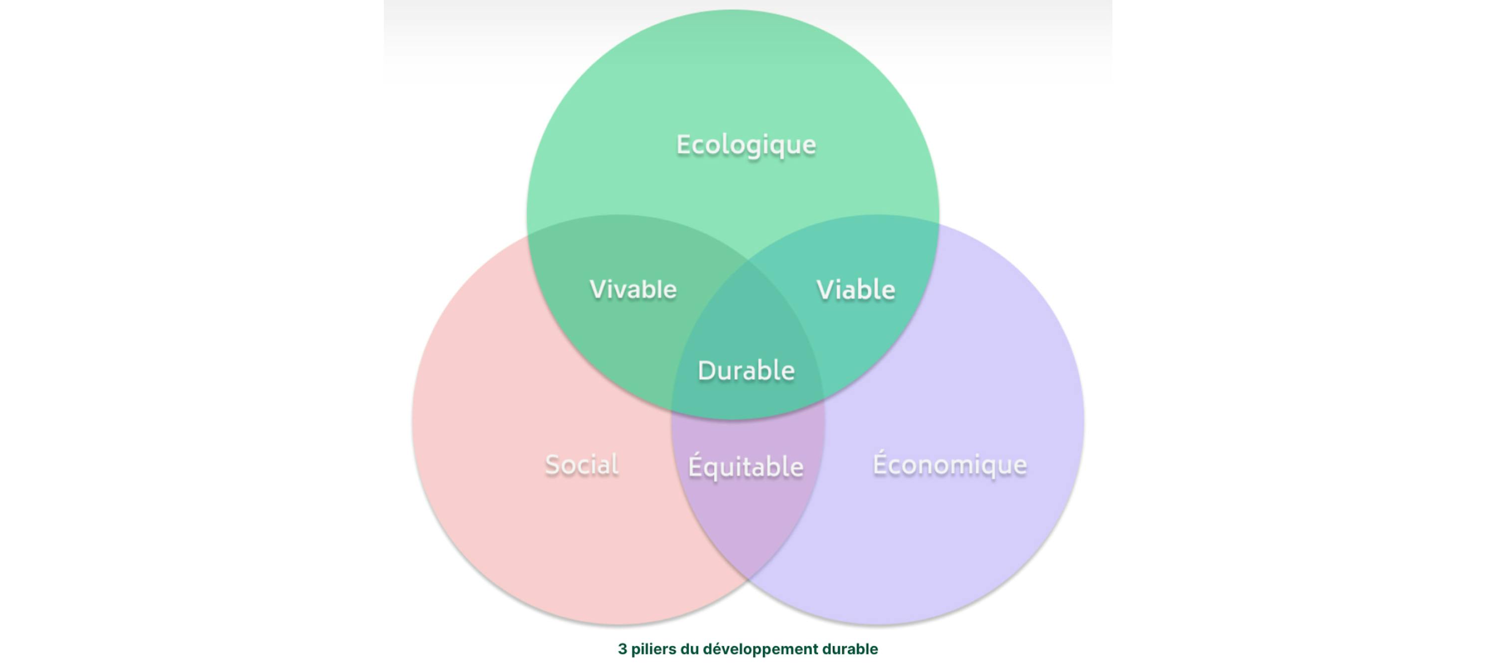 Trois piliers du développement durable 