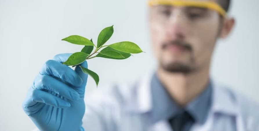 a biologist holding leafs