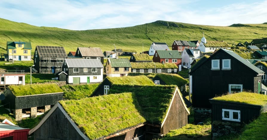 houses covered in green vegetation on hills