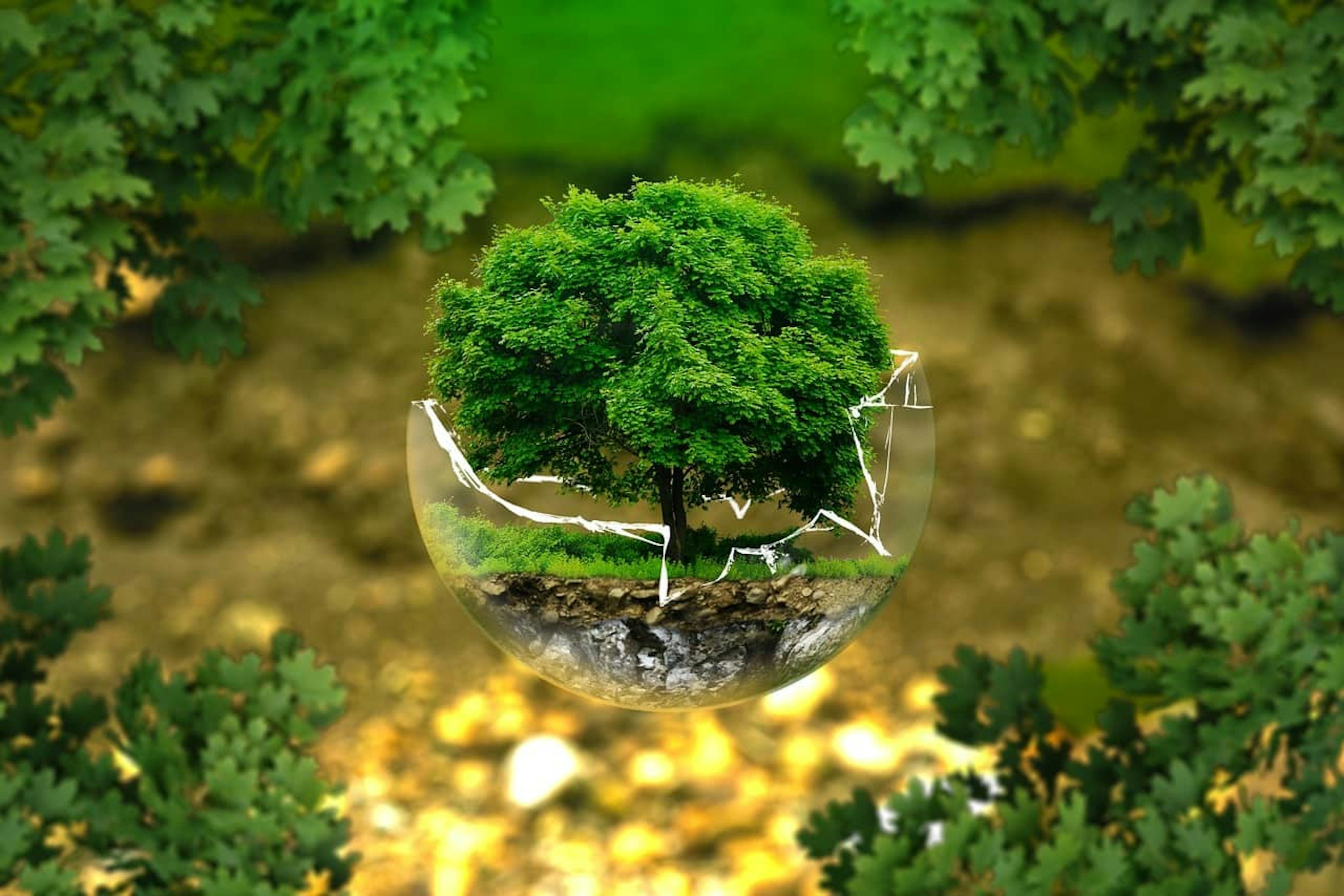 Protection de l'environnement, réserve naturelle, écologie.