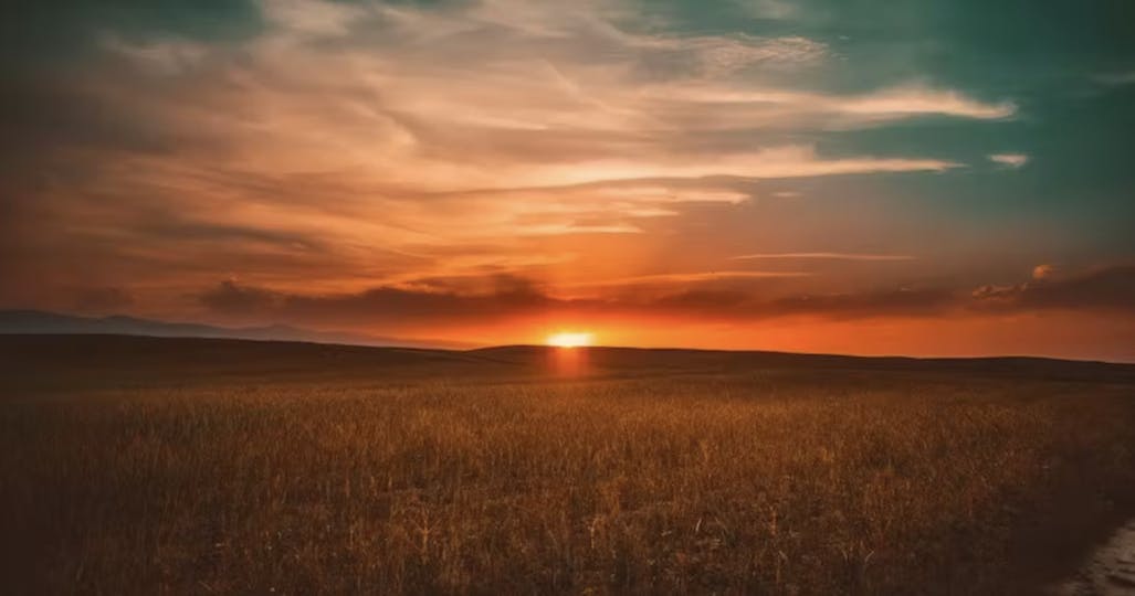 Soleil couchant derrière une prairie