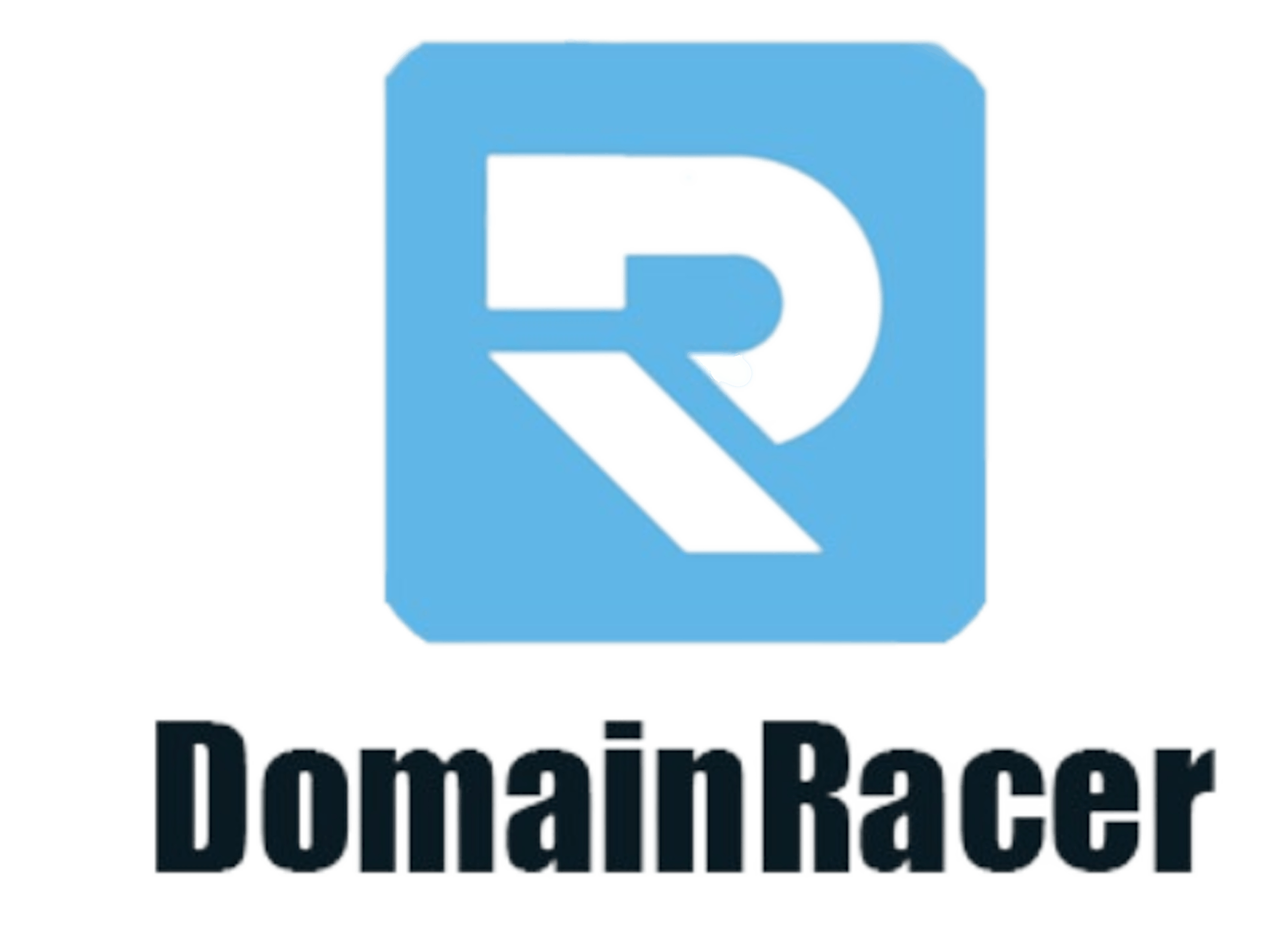 DomainRacers Logo