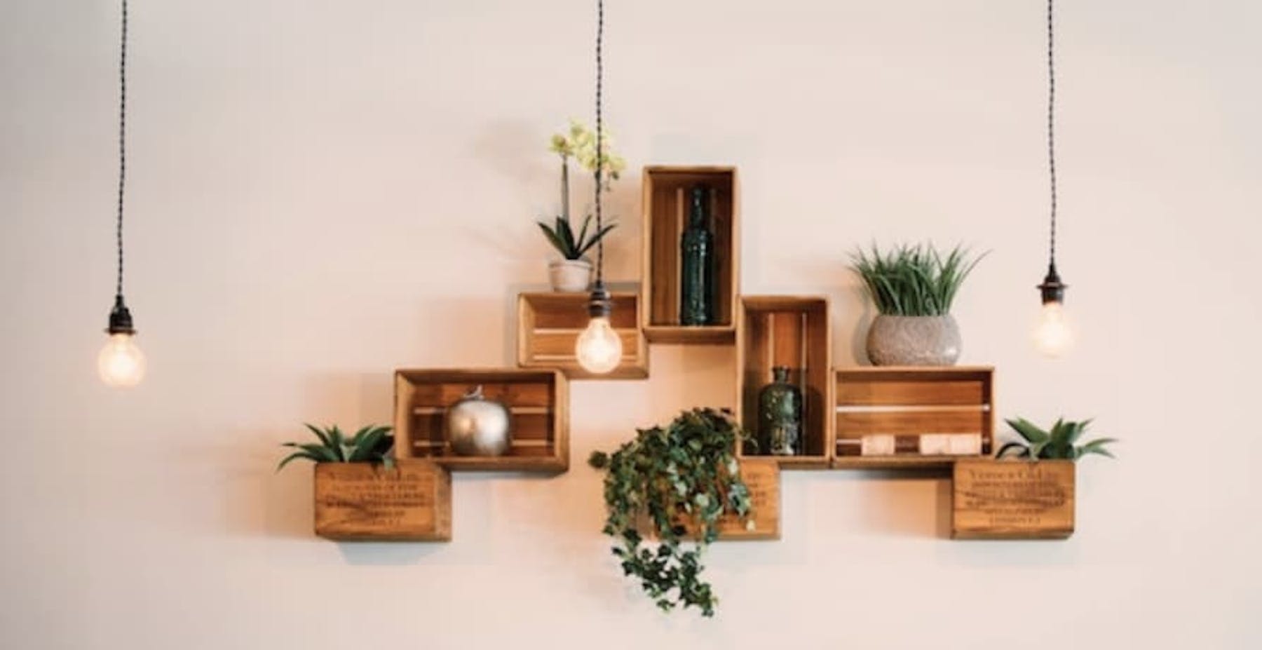 shelves with plants on wall