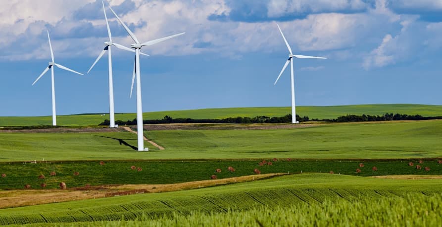 wind farm in green field