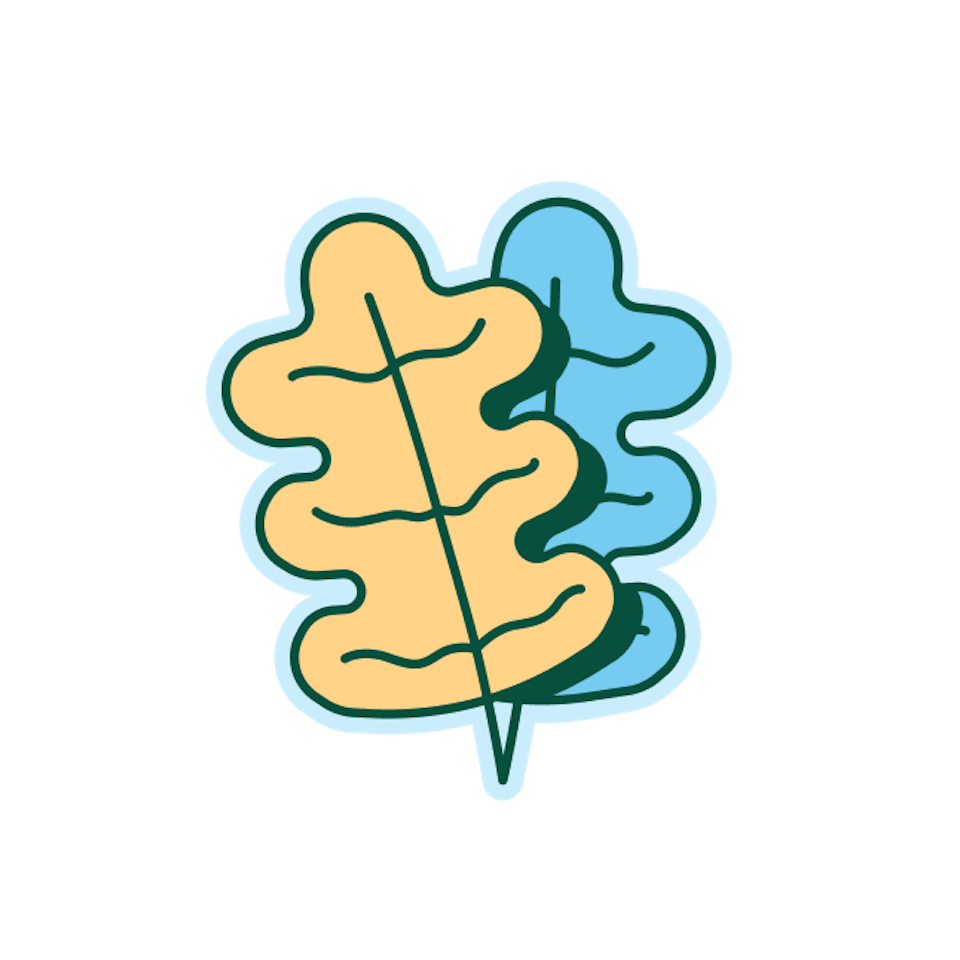 4fc44b99 deae 43f9 b915 a6e3f6f0ab5d Feuilles+v2