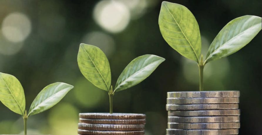 seedlings growing out of coins