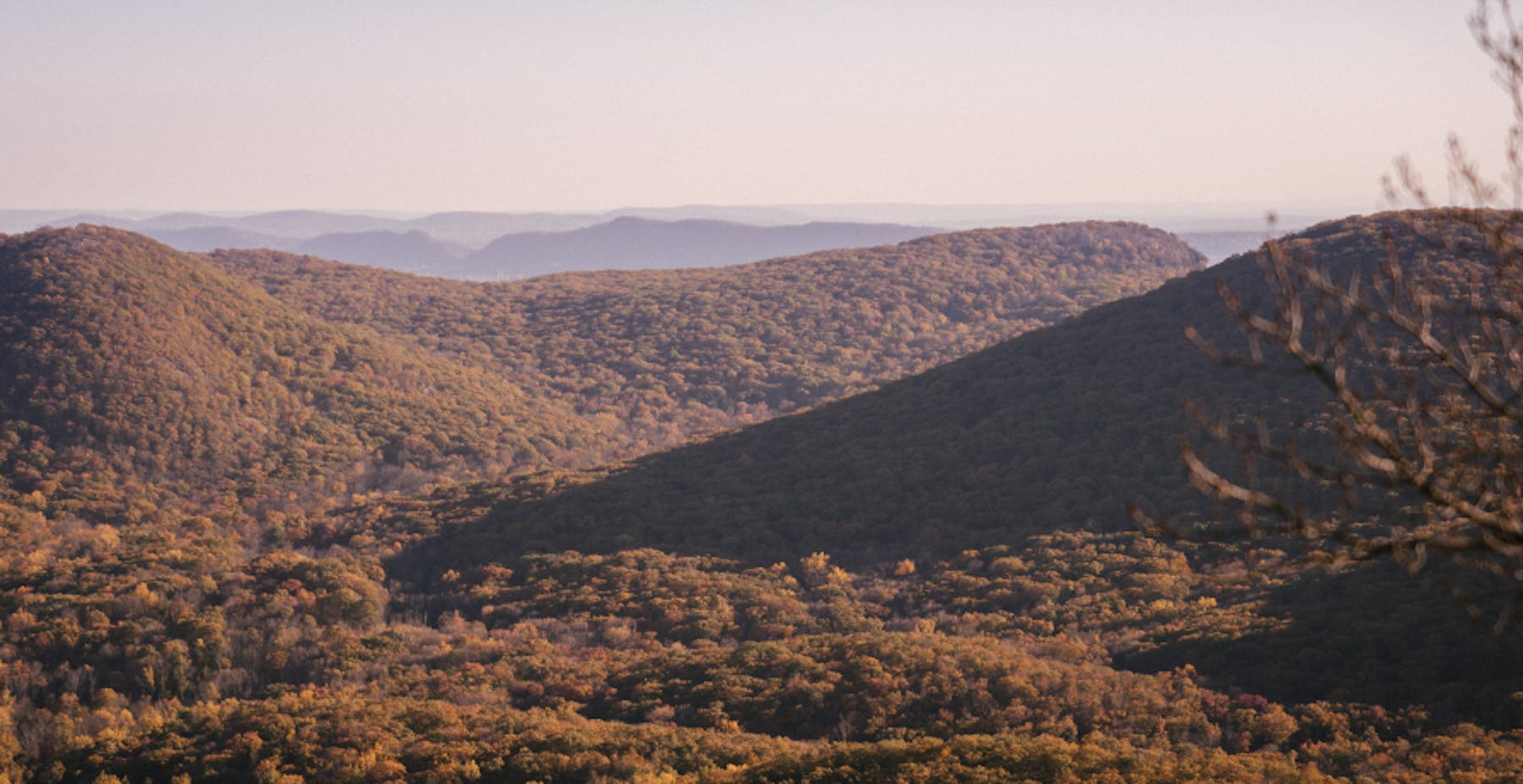 montagnes recouvertes de végétation