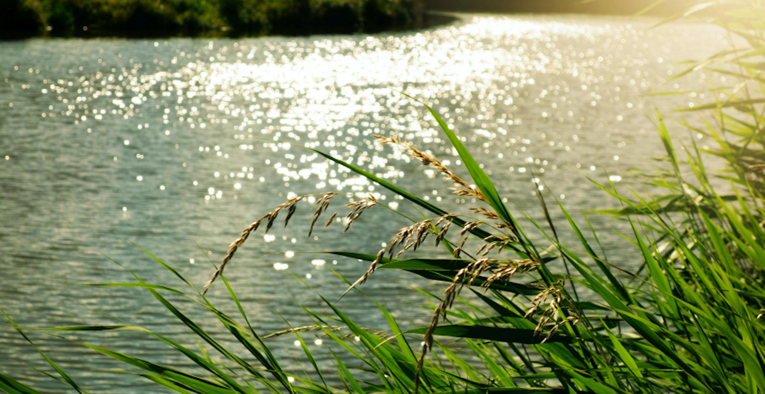 River soaked in sunshine