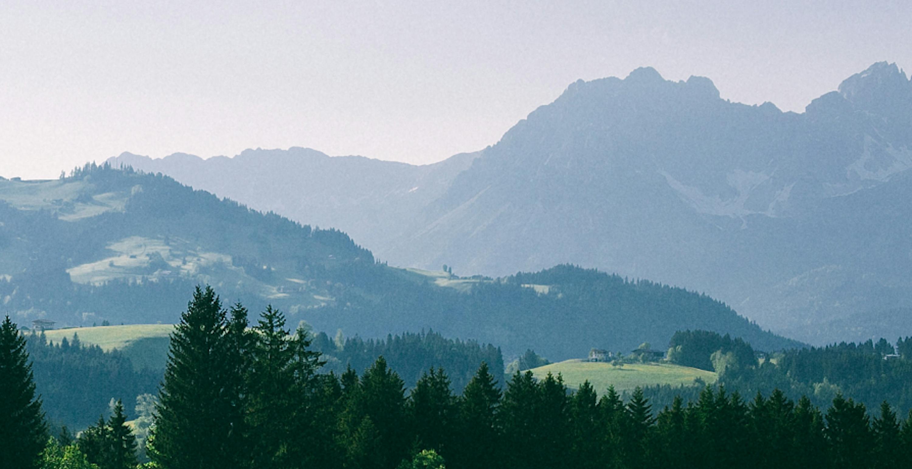 Paysage forêt et montagne