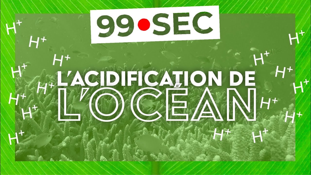 Tout Comprendre Sur L'acidification Des Océans