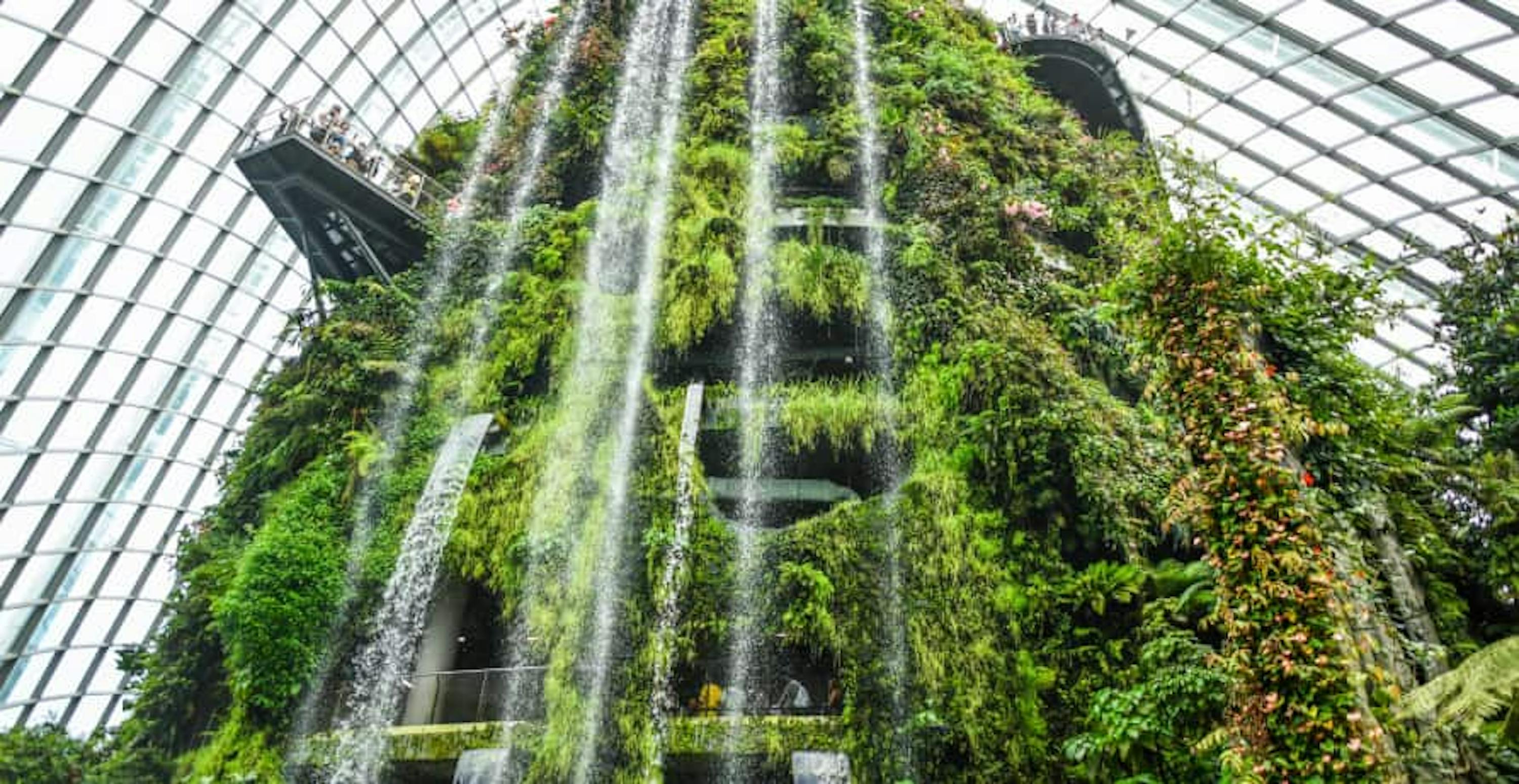 building with green vegetation