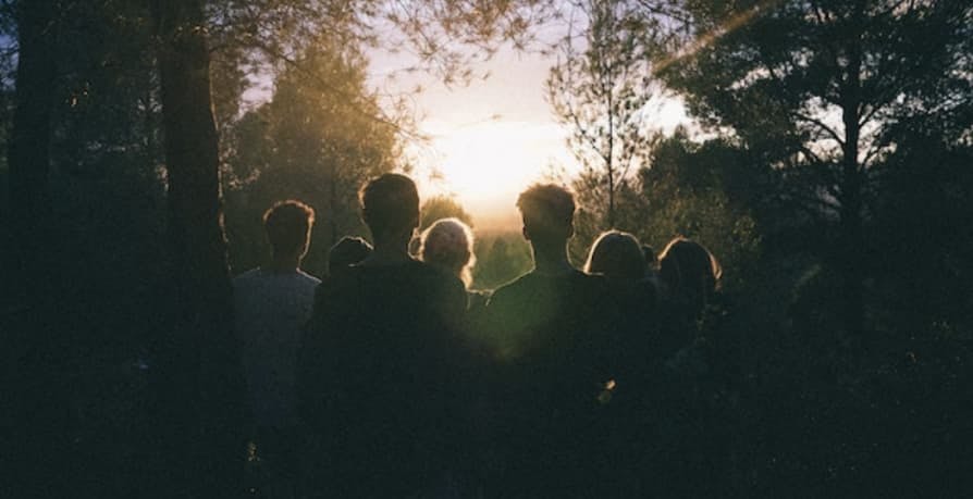 people in overlooking view in forest