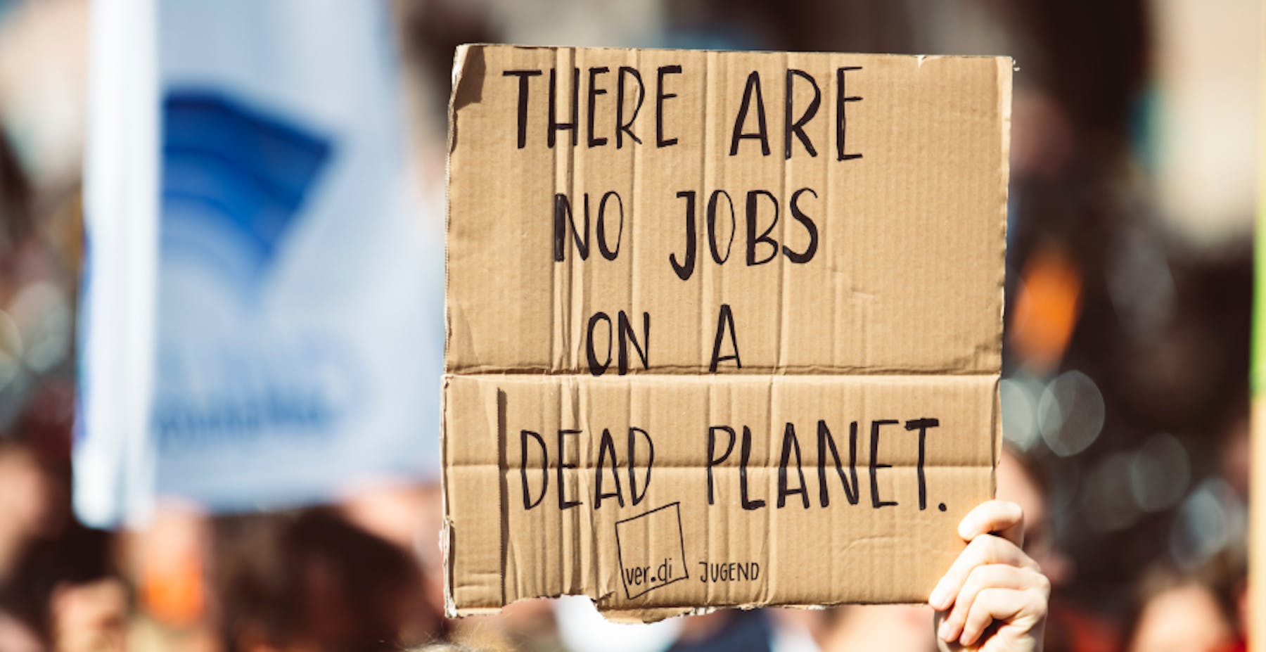 pancarte de manifestation en carton avec écrit : "there are no jobs on a dead planet."