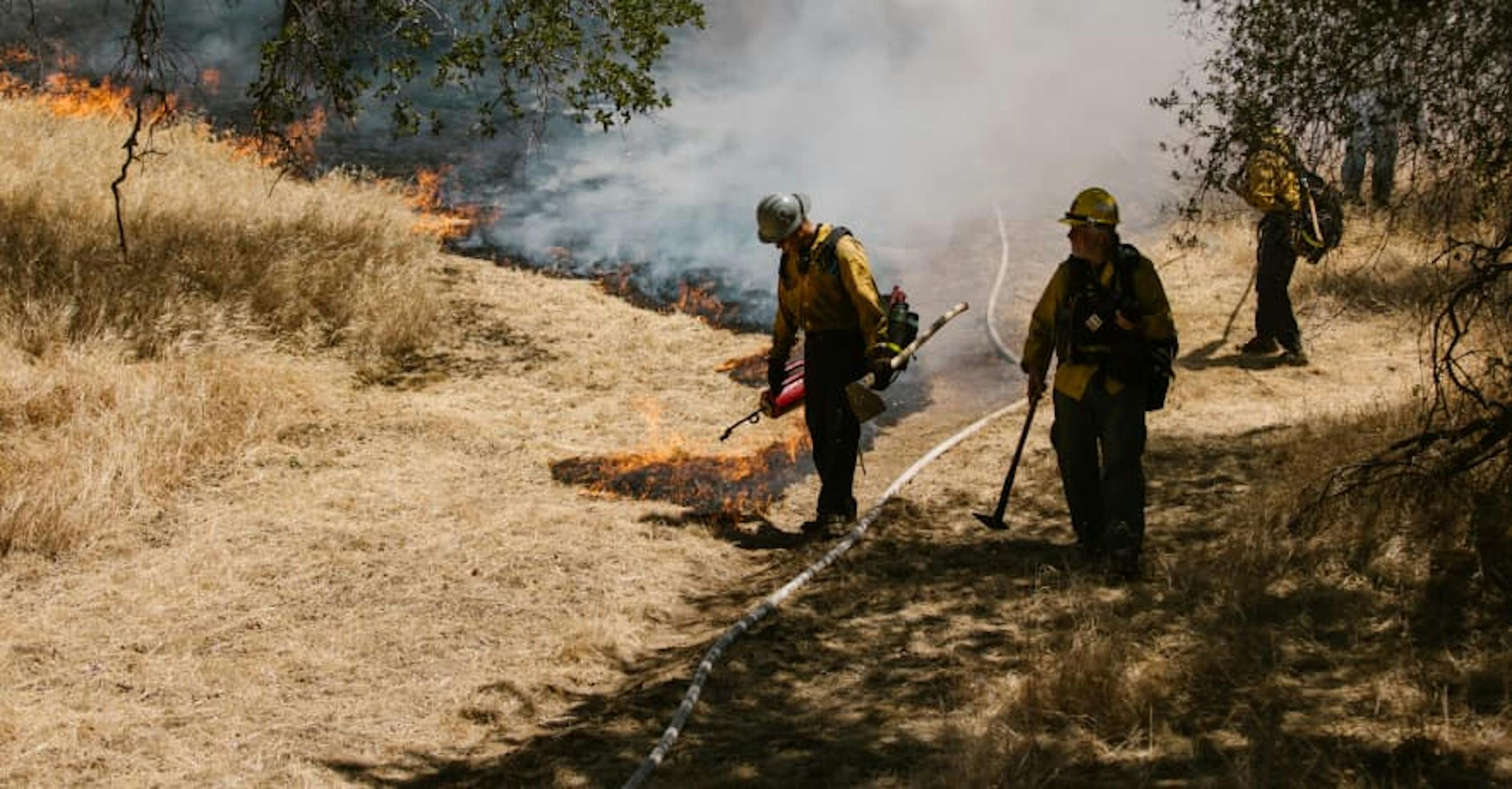 firemen putting out forest fire