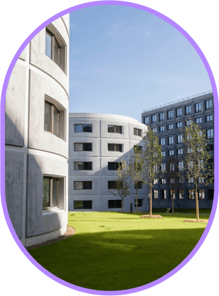 5668b68a 67fa 4cbf 8806 d109edcc309d IMg+%284%29