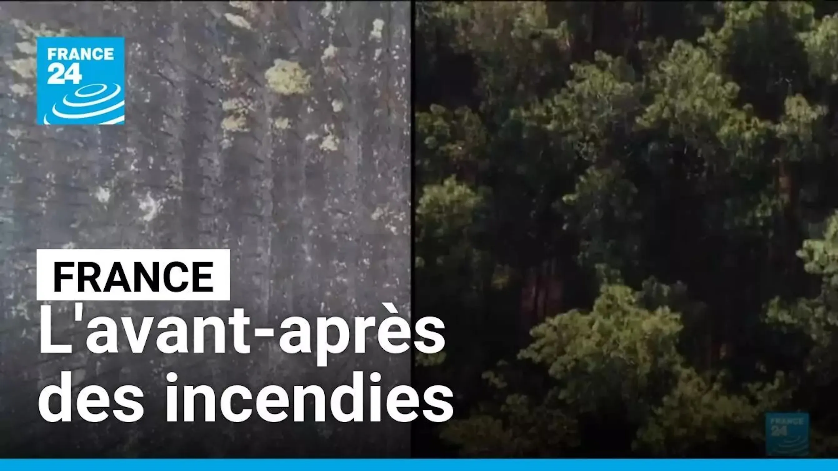 Screenshot d'une vidéo