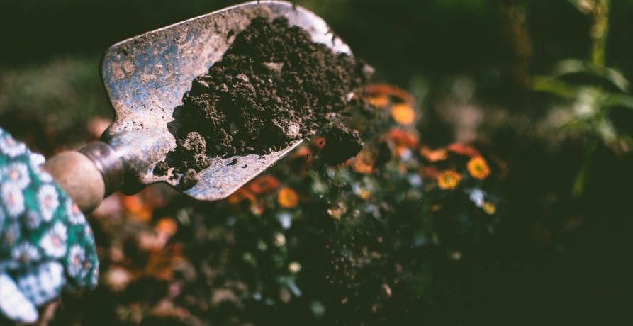 hand holding shovel with dirt in the garden