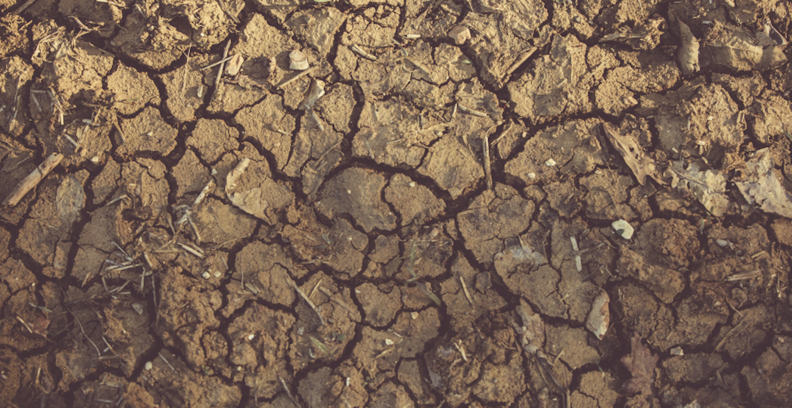 sol de terre craquelé