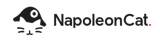 NapoleonCat Logo