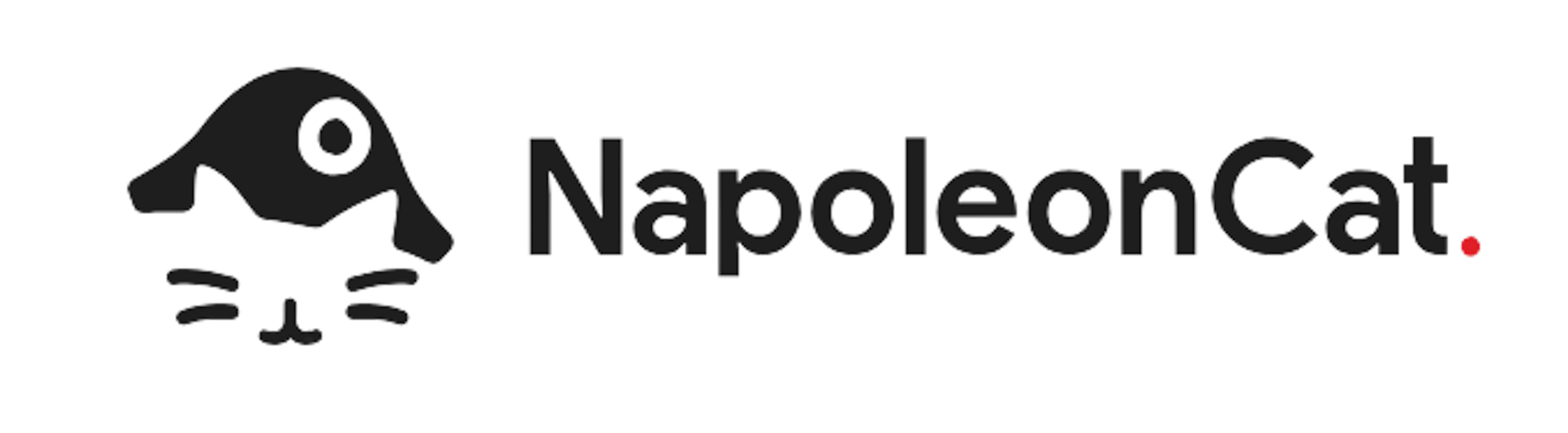 NapoleonCat Logo