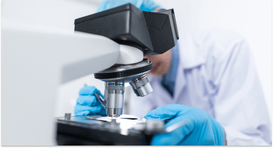 5e48c1e1 9f4b 4e33 89a7 b3520a2349d9 microscope