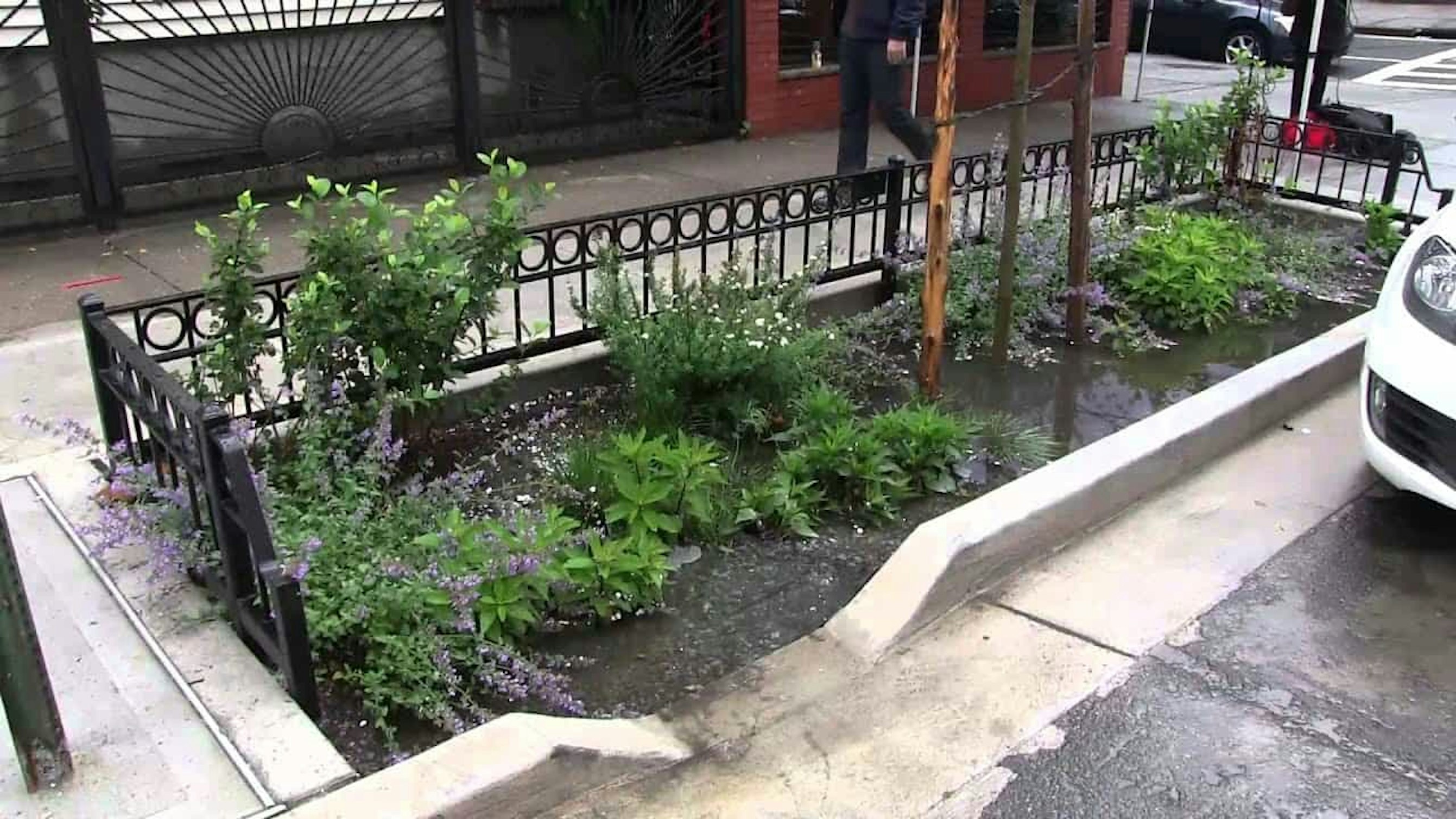 nyc green infrastructure