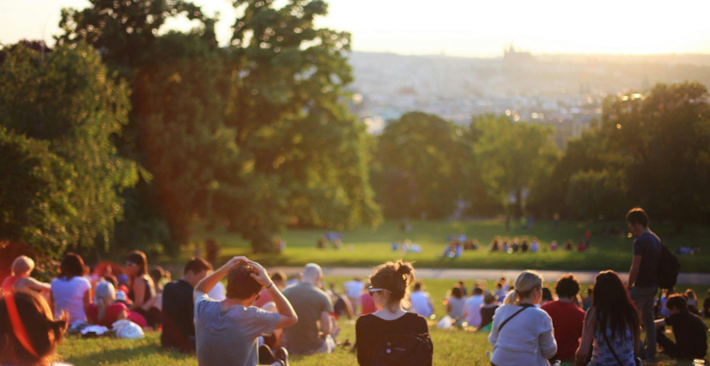 people sitting in grassy park watching the sunset