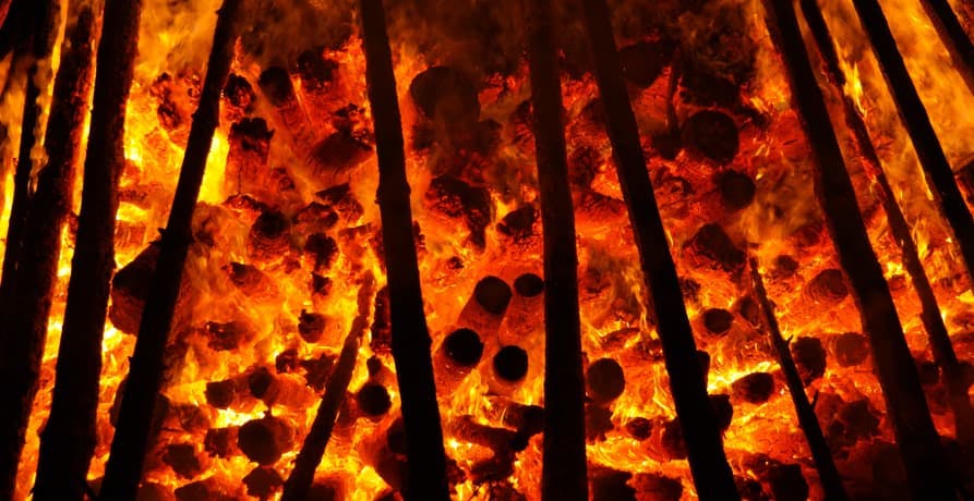 trees burning with red flames and embers 