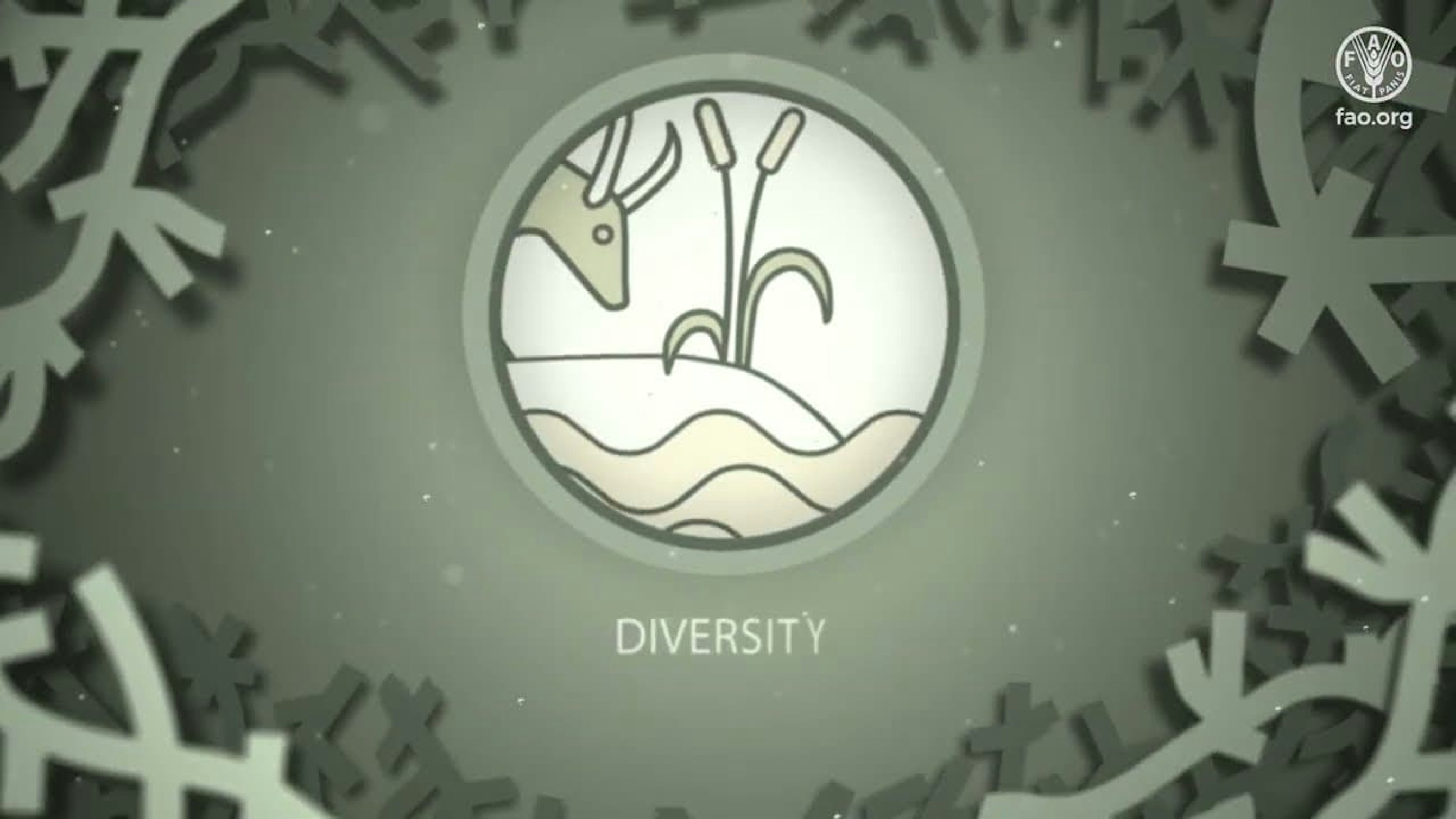 diversity
