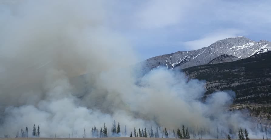 forest fire and smoke