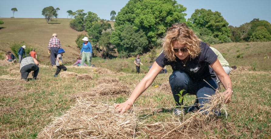 woman clearing dead vegetation from field