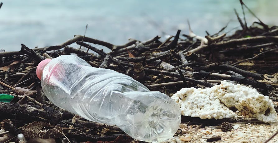 une bouteille en plastique vide au bord de la mer