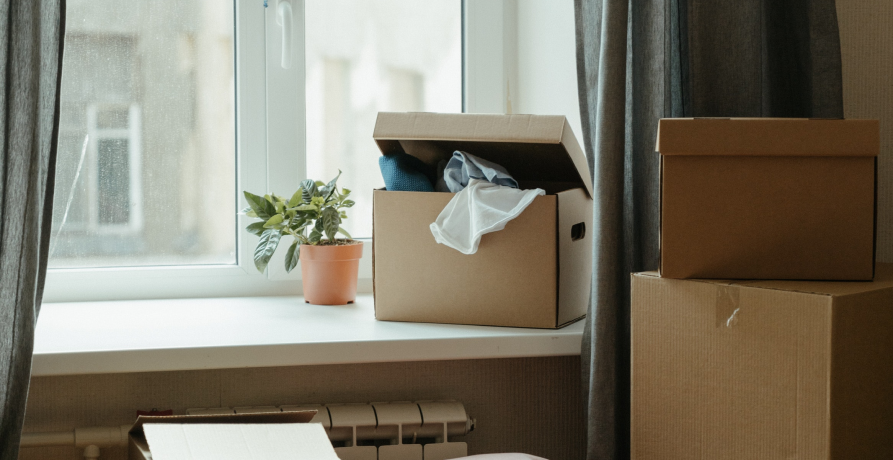 open box sitting in window sill with potted plant