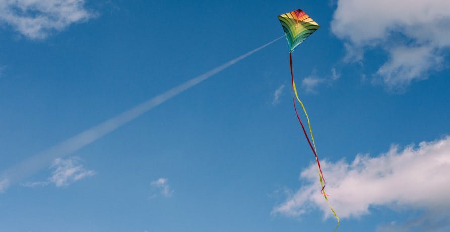 person flying kite in the sky