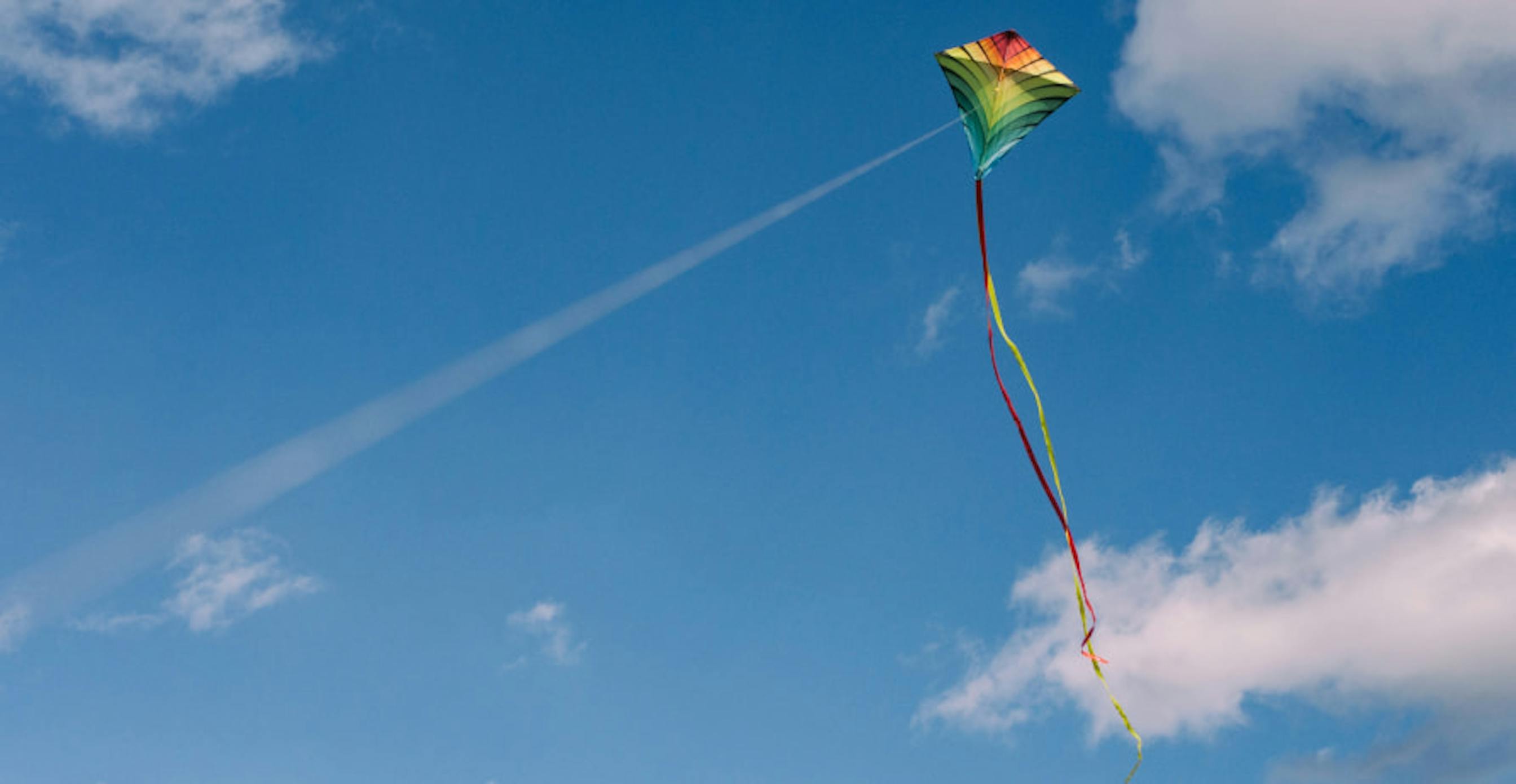 person flying kite in the sky