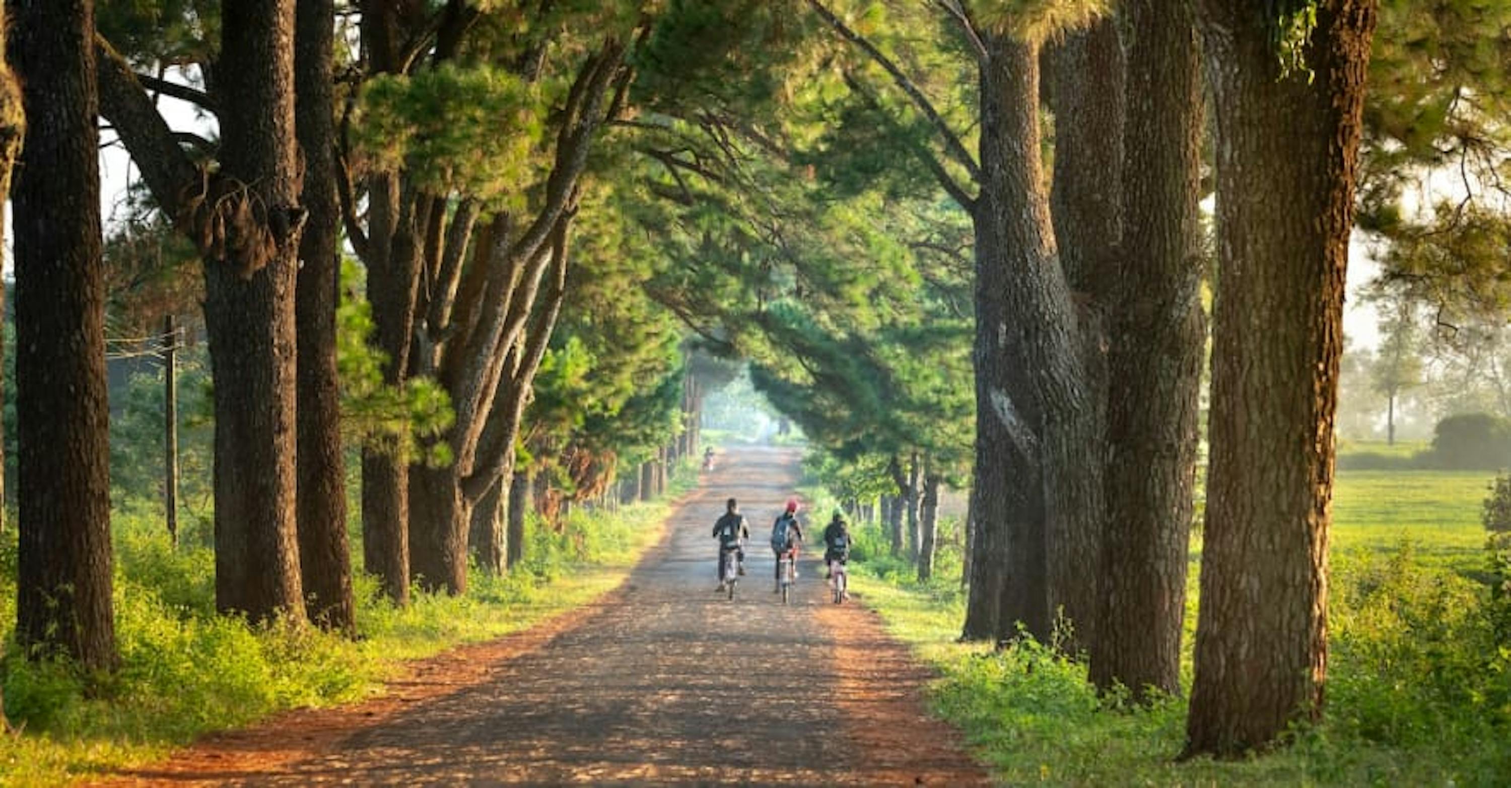 three people go cycling